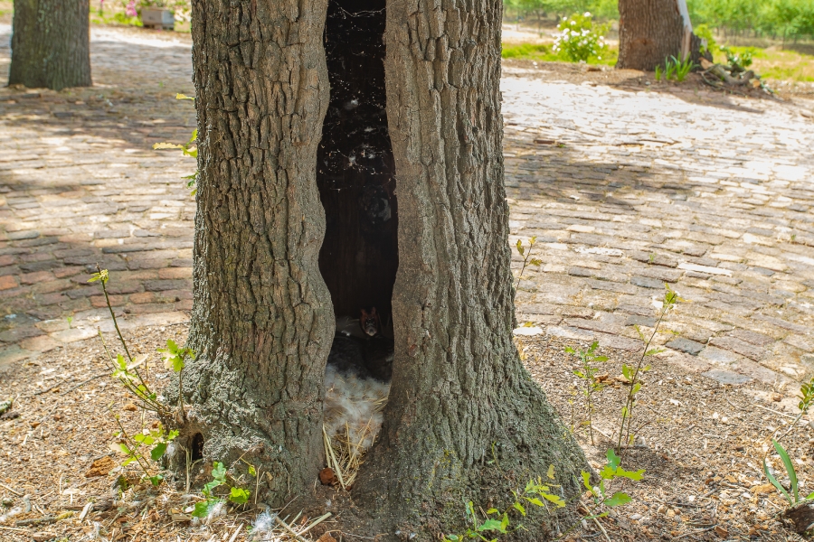 4 Bedroom Property for Sale in Paarl Rural Western Cape